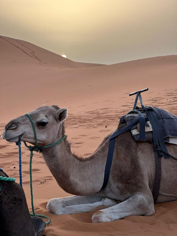 Riad Aicha & Camel Trekking Merzouga Ngoại thất bức ảnh