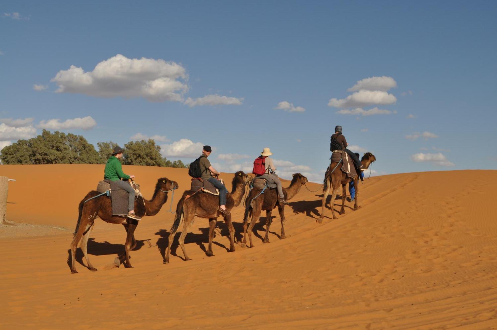 Riad Aicha & Camel Trekking Merzouga Ngoại thất bức ảnh