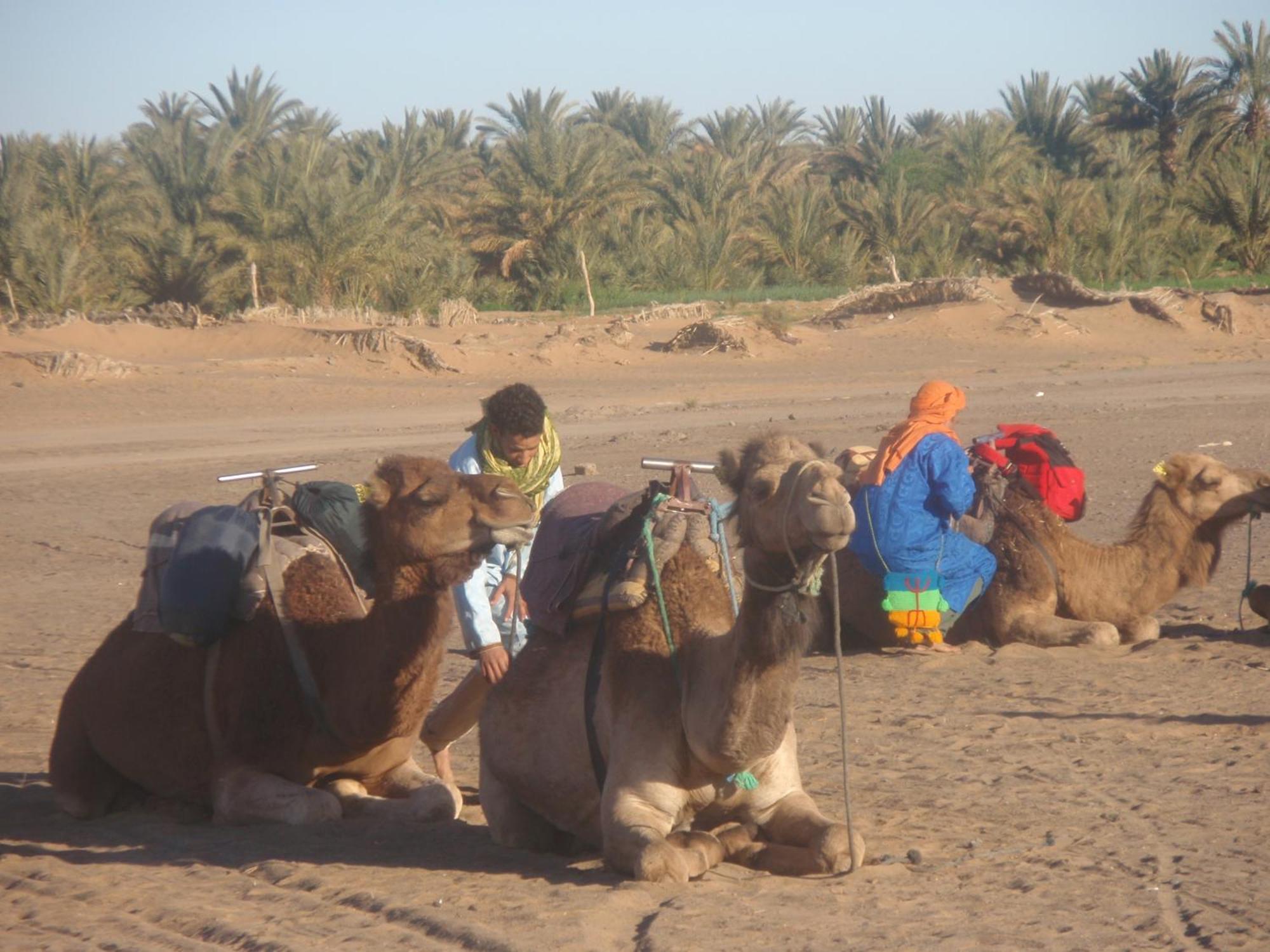 Riad Aicha & Camel Trekking Merzouga Ngoại thất bức ảnh
