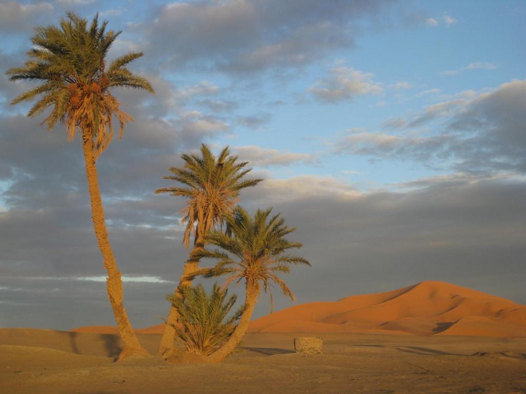 Riad Aicha & Camel Trekking Merzouga Ngoại thất bức ảnh